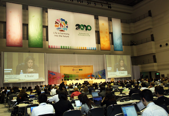 Plenary CBD COP-10 (2010)